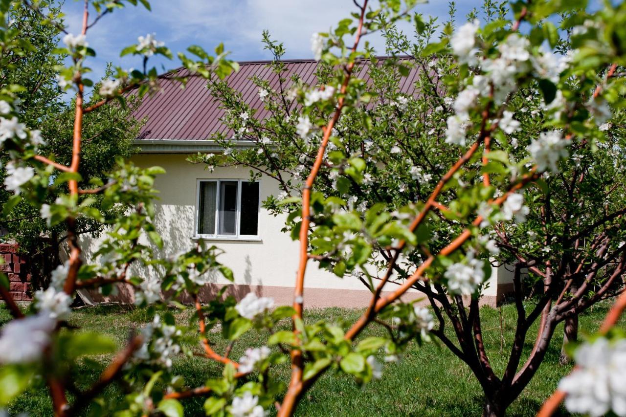 Barskoon Guest House Экстерьер фото